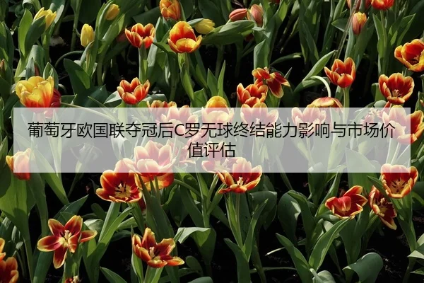 葡萄牙欧国联夺冠后C罗无球终结能力影响与市场价值评估