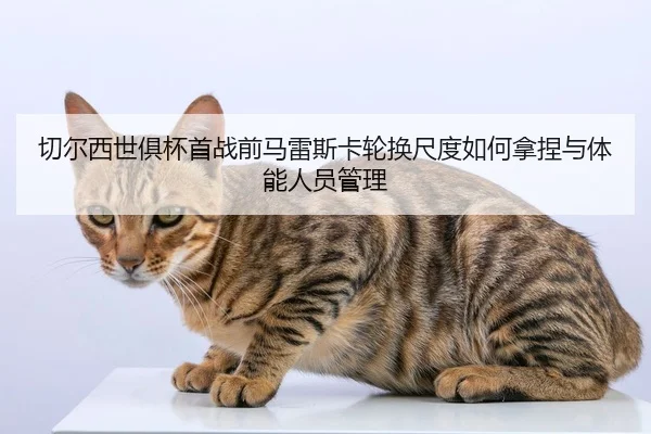 qie-er-xi-shi-ju-bei-shou-zhan-qian-ma-lei-si-ka-lun-huan-chi-du-ru-he-na-nie-yu-ti-neng-ren-yuan-guan-li-2-704.jpg