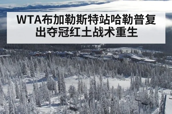 WTA布加勒斯特站哈勒普复出夺冠红土战术重生