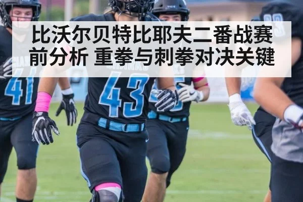 比沃尔贝特比耶夫二番战赛前分析 重拳与刺拳对决关键